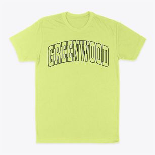 Greenwood Mississippi Trendy Block Classic Dad T-Shirt