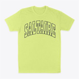 Saltaire New York Trendy Block Classic Dad T-Shirt