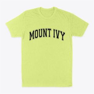 Mount Ivy New York Varsity Classic Dad T-Shirt