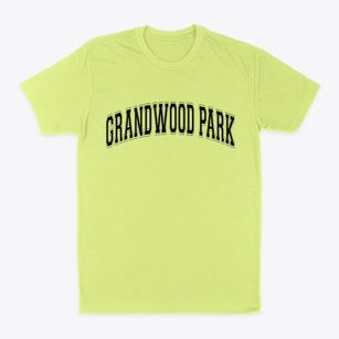 Grandwood Park Illinois Varsity Classic Dad T-Shirt