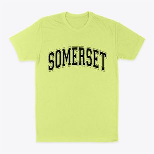 Somerset New York Varsity Classic Dad T-Shirt