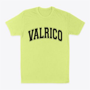 Valrico Florida Varsity Classic Dad T-Shirt