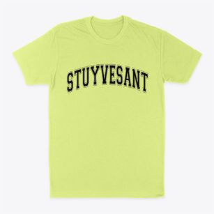 Stuyvesant New York Varsity Classic Dad T-Shirt