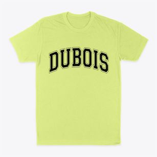 Dubois Idaho Varsity Classic Dad T-Shirt