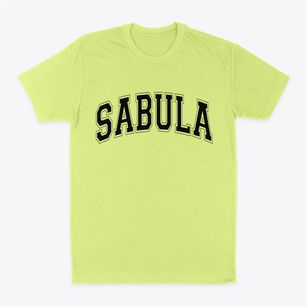 Sabula Iowa Varsity Classic Dad T-Shirt