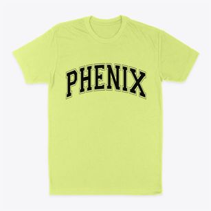 Phenix Virginia Varsity Classic Dad T-Shirt