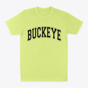 Buckeye Iowa Varsity Classic Dad T-Shirt