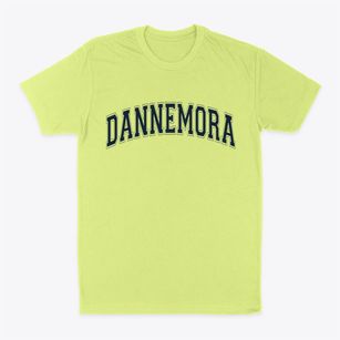 Dannemora New York Varsity Classic Dad T-Shirt