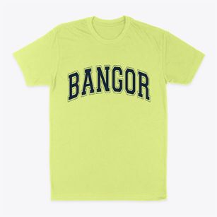 Bangor New York Varsity Classic Dad T-Shirt