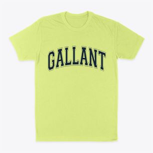 Gallant Alabama Varsity Classic Dad T-Shirt