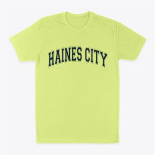 Haines City Florida Varsity Classic Dad T-Shirt