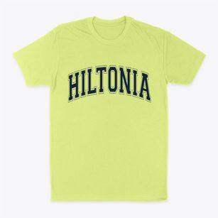 Hiltonia Georgia Varsity Classic Dad T-Shirt