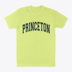 Princeton Indiana Varsity Classic Dad T-Shirt