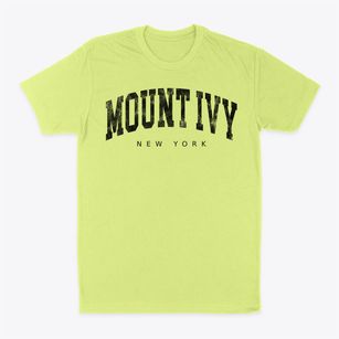 Mount Ivy New York Urban Vibe Classic Dad T-Shirt