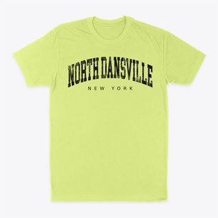 North Dansville New York Urban Vibe Classic Dad T-Shirt