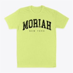 Moriah New York Urban Vibe Classic Dad T-Shirt