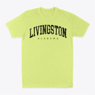 Livingston Alabama Urban Vibe Classic Dad T-Shirt