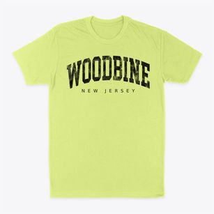 Woodbine New Jersey Urban Vibe Classic Dad T-Shirt