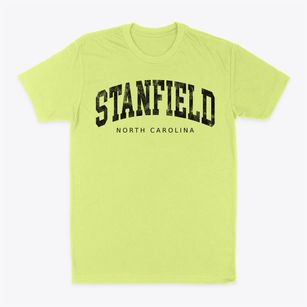 Stanfield North Carolina Urban Vibe Classic Dad T-Shirt