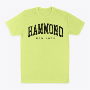 Hammond New York Urban Vibe Classic Dad T-Shirt