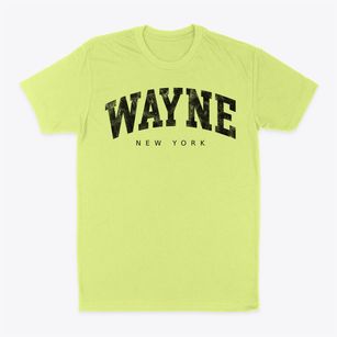 Wayne New York Urban Vibe Classic Dad T-Shirt