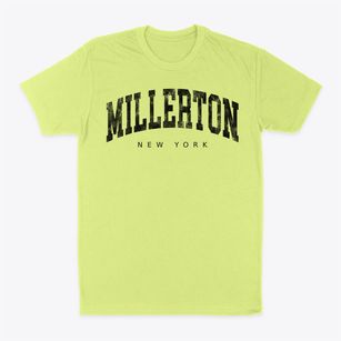 Millerton New York Urban Vibe Classic Dad T-Shirt