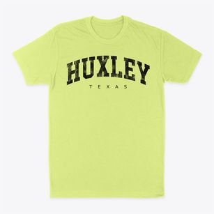 Huxley Texas Urban Vibe Classic Dad T-Shirt