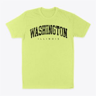Washington Illinois Urban Vibe Classic Dad T-Shirt