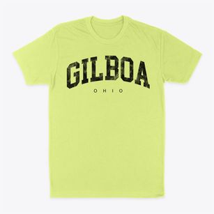 Gilboa Ohio Urban Vibe Classic Dad T-Shirt