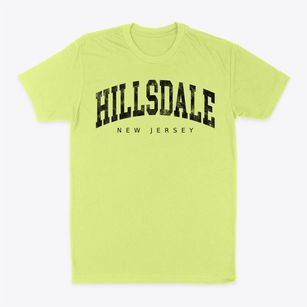 Hillsdale New Jersey Urban Vibe Classic Dad T-Shirt