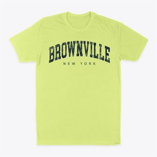 Brownville New York Urban Vibe Classic Dad T-Shirt
