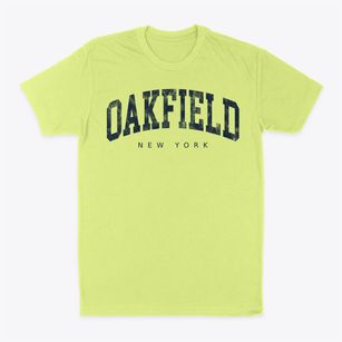 Oakfield New York Urban Vibe Classic Dad T-Shirt
