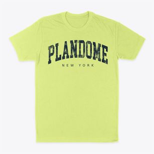Plandome New York Urban Vibe Classic Dad T-Shirt