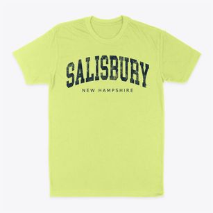 Salisbury New Hampshire Urban Vibe Classic Dad T-Shirt