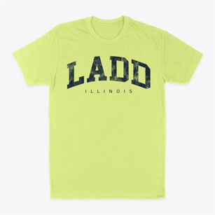 Ladd Illinois Urban Vibe Classic Dad T-Shirt