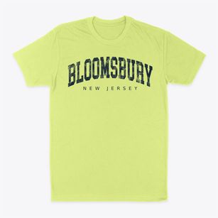 Bloomsbury New Jersey Urban Vibe Classic Dad T-Shirt