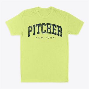Pitcher New York Urban Vibe Classic Dad T-Shirt