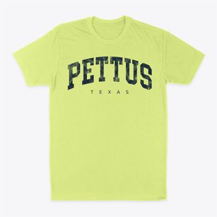 Pettus Texas Urban Vibe Classic Dad T-Shirt