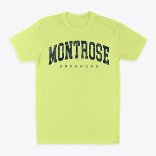 Montrose Arkansas Urban Vibe Classic Dad T-Shirt