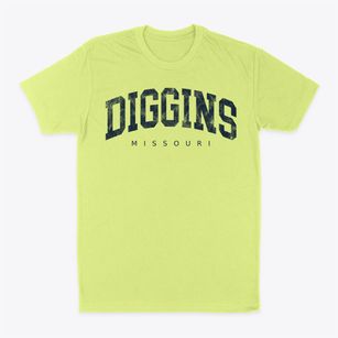 Diggins Missouri Urban Vibe Classic Dad T-Shirt