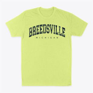 Breedsville Michigan Urban Vibe Classic Dad T-Shirt