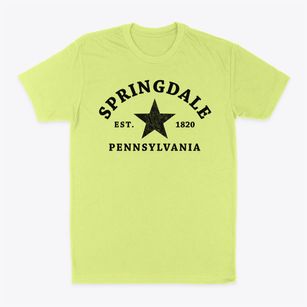 Springdale Pennsylvania Star Classic Dad T-Shirt