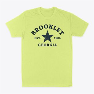 Brooklet Georgia Star Classic Dad T-Shirt