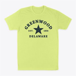 Greenwood Delaware Star Classic Dad T-Shirt