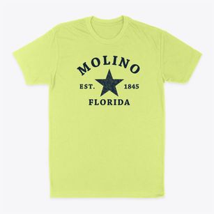 Molino Florida Star Classic Dad T-Shirt