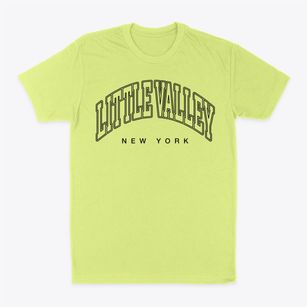 Little Valley New York Inline Classic Dad T-Shirt
