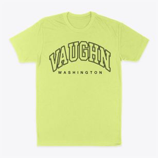 Vaughn Washington Inline Classic Dad T-Shirt