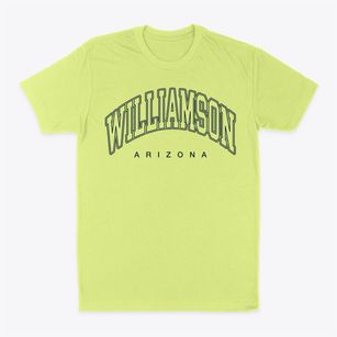 Williamson Arizona Inline Classic Dad T-Shirt