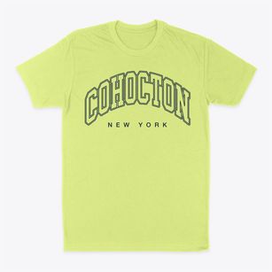 Cohocton New York Inline Classic Dad T-Shirt
