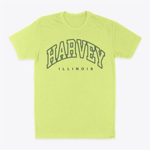 Harvey Illinois Inline Classic Dad T-Shirt